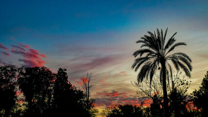 Marrakech, Maroc, Médina, Souks, Place Jemaa el-Fna, Koutoubia, Palais Bahia, Riad, Jardin Majorelle, Culture, Tradition, Artisanat, Architecture, Épices, Histoire, Atmosphère orientale, Couleurs, Lum