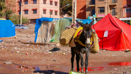 Village berbère, Montagnes de l'Atlas, Maroc, Nature, Altitude
