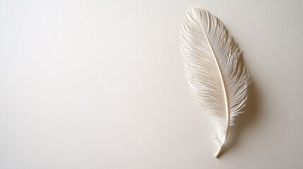 Elegant white feather resting on a smooth cream background in soft natural light