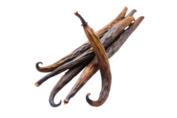 Vanilla bean fruit isolated on transparent background. png