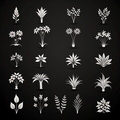 set of black and white flowers