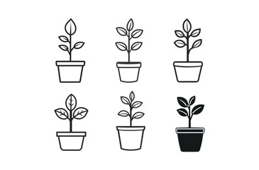 Plant in pots Vector Silhouette design