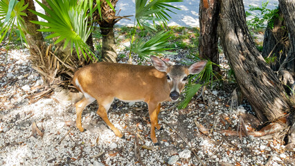 Key West, Floride, Îles Keys, Plages,