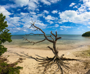 Vue aérienne professionnel au drone des Keys avec plages paradisiaque, Floride, USA
