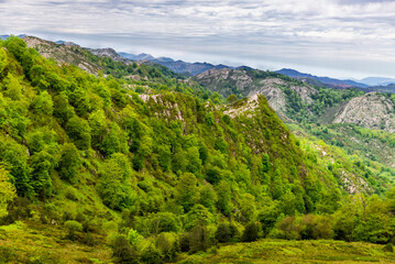 Naklejka premium Asturias, a green paradise, on the way to Covadonga and its lakes