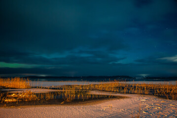 Golden reeds illuminated on a snowy frozen lake under a dark blue sky with stars and faint northern...