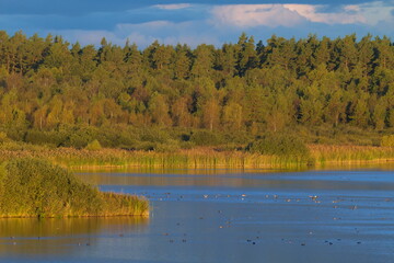 Sonnenuntergang im Herbst auf den Åland Inseln