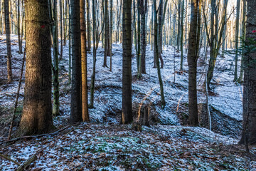 Fototapety na wymiar - Fototapeta24.pl