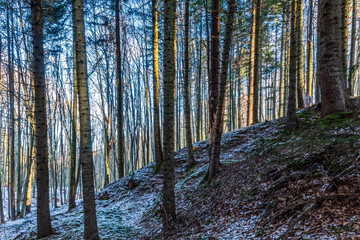 Fototapety na wymiar - Fototapeta24.pl