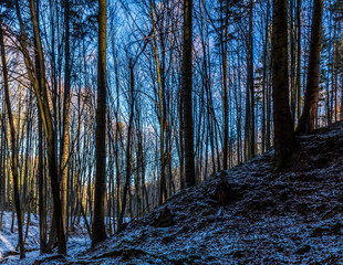 Fototapety na wymiar - Fototapeta24.pl