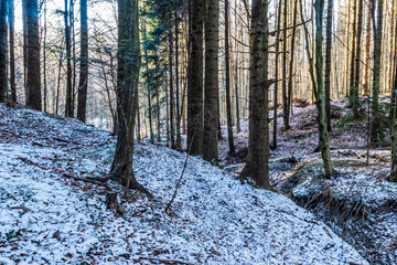 Fototapety na wymiar - Fototapeta24.pl