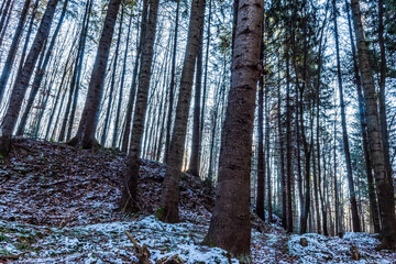 Fototapety na wymiar - Fototapeta24.pl