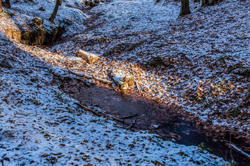 Landscapes - Forest - Europe, Romania, Suceava region 