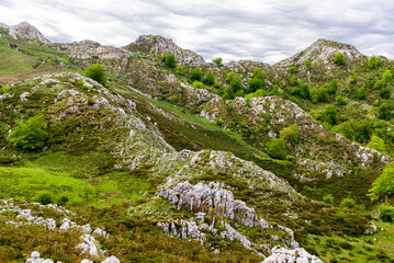 Asturias, a green paradise, on the way to Covadonga and its lakes