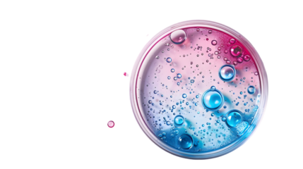 Petri dish on empty background. drops, stains, bacteria and molecules in a Petri dish. isolated on a transparent background