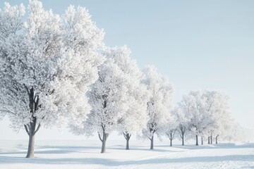 Fototapeta premium Snow-covered trees line a serene winter landscape at dawn in a tranquil setting