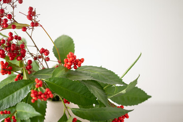 Nandina and Senryo.
A lucky plant that is decorated for New Year’s in Asia.
