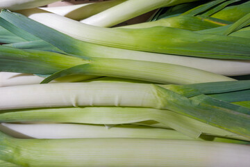 Stems of leek in vegetable container on vegetable market