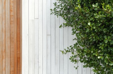 a variety of fresh herbs like basil and parsley