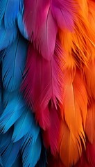 Obraz premium Vibrant feathers in shades of blue, pink, and orange.