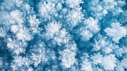 Obraz premium Delicate frost formations create stunning patterns on a cold surface, showcasing the intricate artistry of nature during winter in a serene outdoor setting