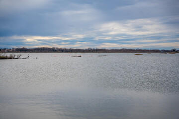 Fototapeta premium Landscape view of Salina nature park with flamingos near Ulcinj town in winter time in Montenegro