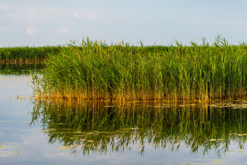 Scenic Wetlands and Sunset Sky at Neusiedler See National Park