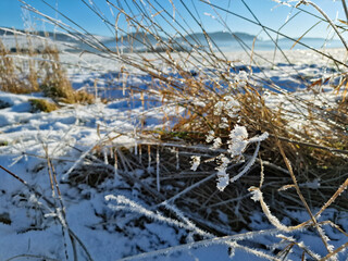Meadow covered with snow and frost. Czech Republic, Europe.