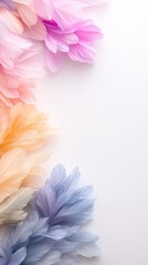 Fototapeta premium Pastel Colored Feathers Border Frame Soft Pink Orange Blue Elegant Design Background