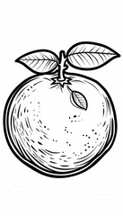A simple black and white line art drawing of an orange with leaves and stem. Suitable for coloring pages or educational materials about fruits.