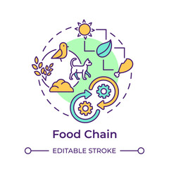 Food chain multi color concept icon. Ecological balance. Flow of energy within ecosystems. Predator and prey. Round shape line illustration. Abstract idea. Graphic design. Easy to use in article