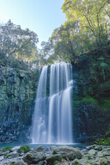 おんせん県の桜滝