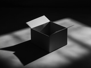 Leere Pappschachtel in monochromatischer Licht- und Schattenumgebung

