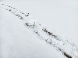 Black shoe marks on the white snow. A well-trodden path in the snow. The amount of precipitation....