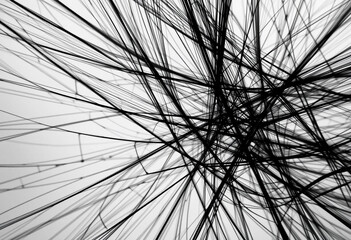 Fototapeta premium Intricate patterns of black lines against a light background create a captivating visual display, showcasing the beauty of abstraction
