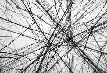Intricate web of black lines creates an abstract pattern against a light background, showcasing dynamic movement and complexity in design