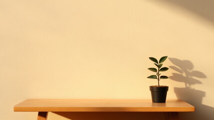 Wooden table with a potted plant against a textured wall.