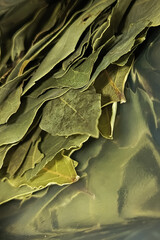 A close-up of a dried bay leaf in a package. Seasoning of bay leaves. Aromatic seasoning for meat and vegetable dishes.