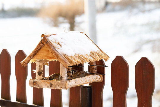 A bird feeder covered in snow, with sparrows on it. In the background, you can see a winter landscape with blurred light. This is a scene of winter bird feeding in a home garden.