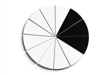 Abstract Black and White Pie Chart Graphic Data Visualization Half and Half Segmentation Design