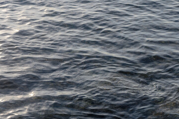 Calm waters ripple gently under the soft glow of the evening sun near the tranquil shoreline