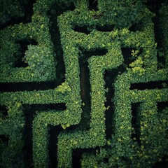 Green maze of plants adding charm to gardens with unique pathways and scenic beauty
