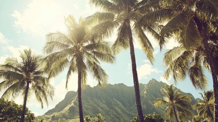 Tropical Paradise: Palm Trees and Majestic Mountains Under a Sunny Sky
