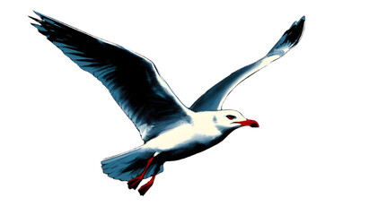 Fototapeta premium gabbiano con le ali spiegate in volo su di un cielo azzurro, Seagull with outstretched wings flying over a blue sky