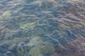 Clear blue water reveals hidden treasures beneath the surface at a tranquil coastal location