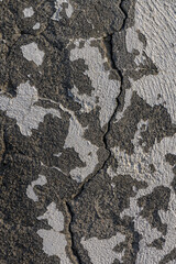 Textured surface reveals age and wear, showcasing nature's artistry in urban decay