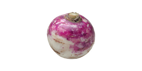 Purple and white turnip isolated on transparent background
