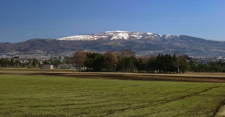 春の畑と冠雪した横津岳