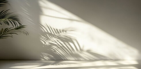 Stylish Minimalist Interior with Sunlight Shadows