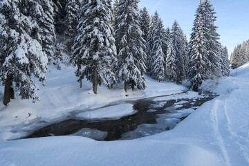 Oben auf dem Kojen-Schichtkamm in den Allgäuer Voralpen fließt der Lanzenbach. Er ist an diesem sonnigen Wintertag teilweise gefroren. Im Hintergrund sind verschneite Nadelbäume zu sehen.